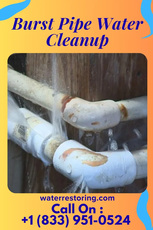Burst Pipe Water Cleanup in Glenview Manor, KY