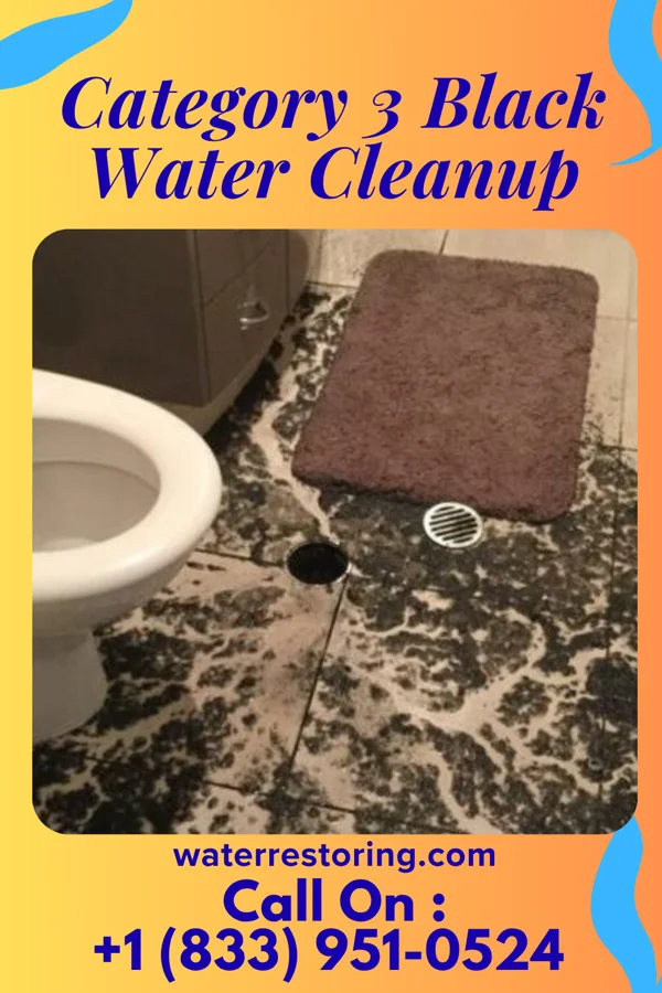 Category 3 Black Water Cleanup in Glenview Manor, KY