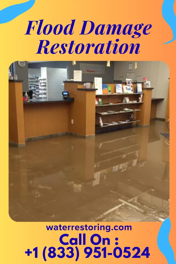 Flood Damage Restoration in Glenview Manor, KY