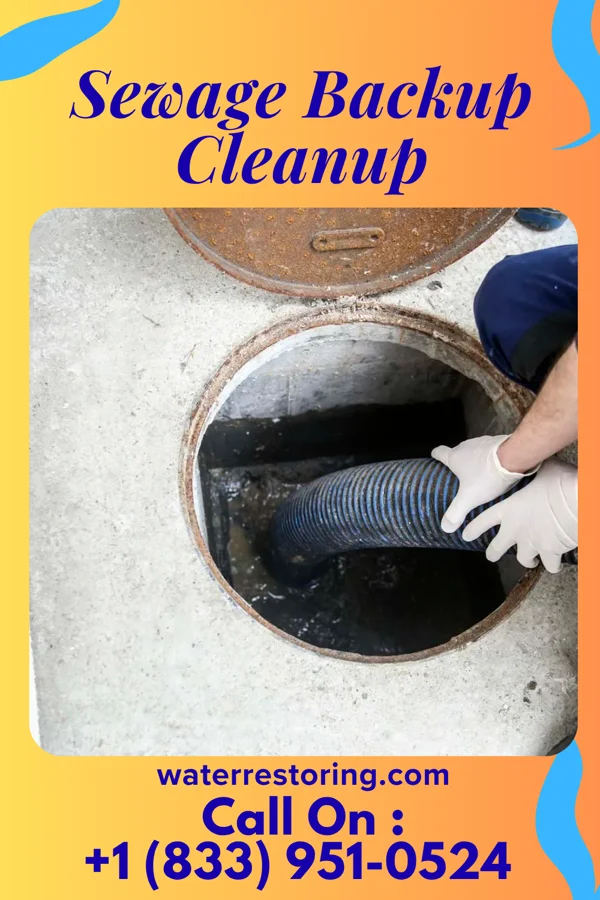 Sewage Backup Cleanup in Glenview Manor, KY