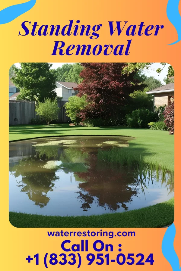 Standing Water Removal in Glenview Manor, KY